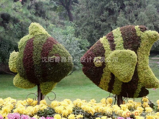 植物雕塑 